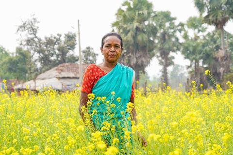 Rural Jharkhand